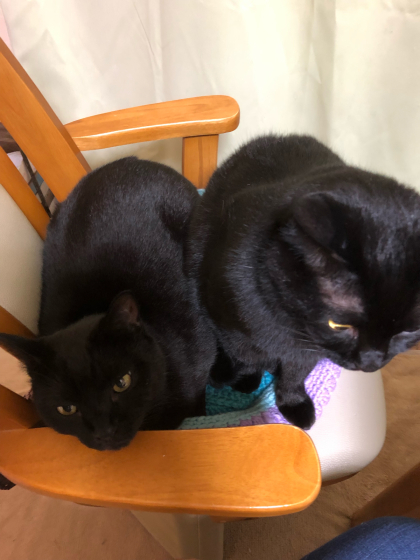 踏みにじられたベッド( ノД`)_e0355177_16374135.jpg