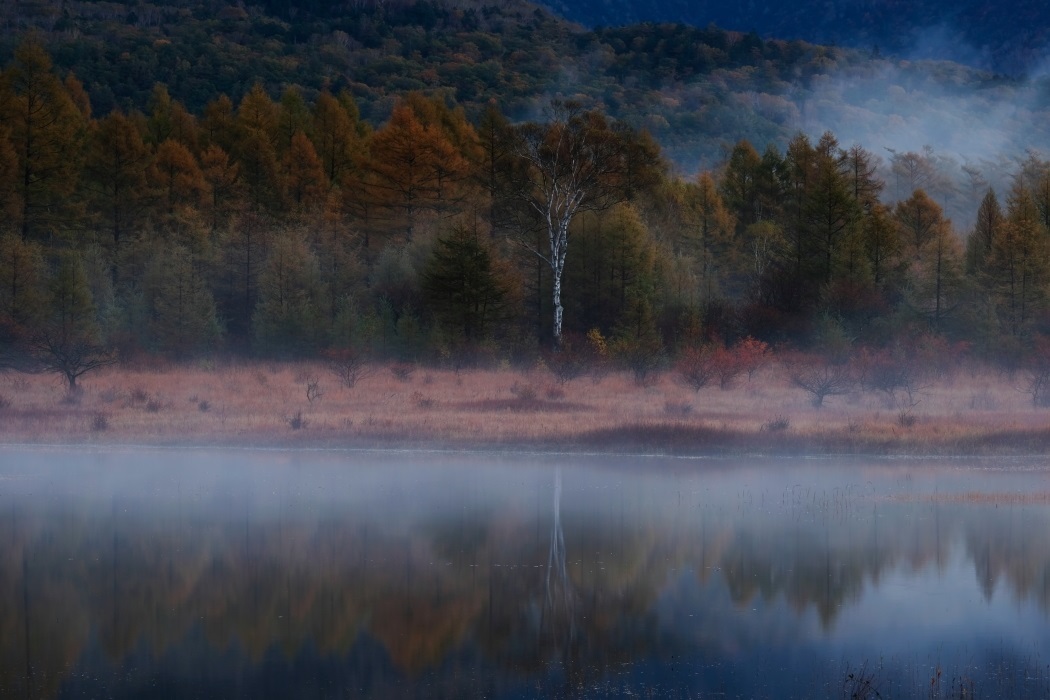 奥日光・小田代ヶ原「貴婦人」＜１＞　水鏡に映える情景　２０１９・１０・２０_e0143883_14585120.jpg