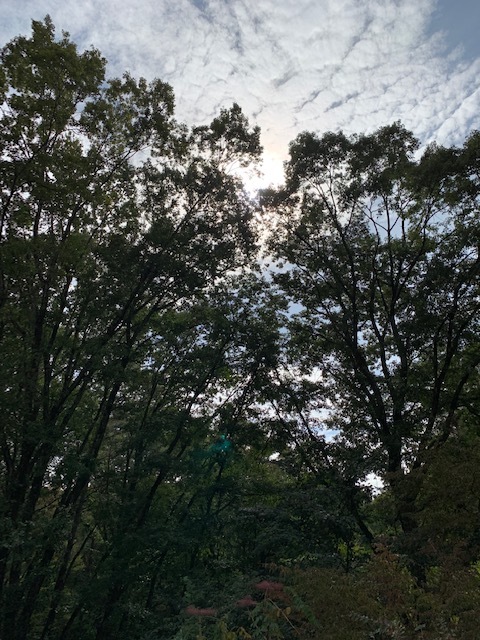 e0008887_13134941.jpg