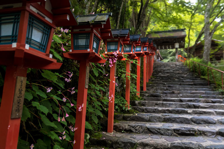 貴船神社_e0051888_03180110.jpg