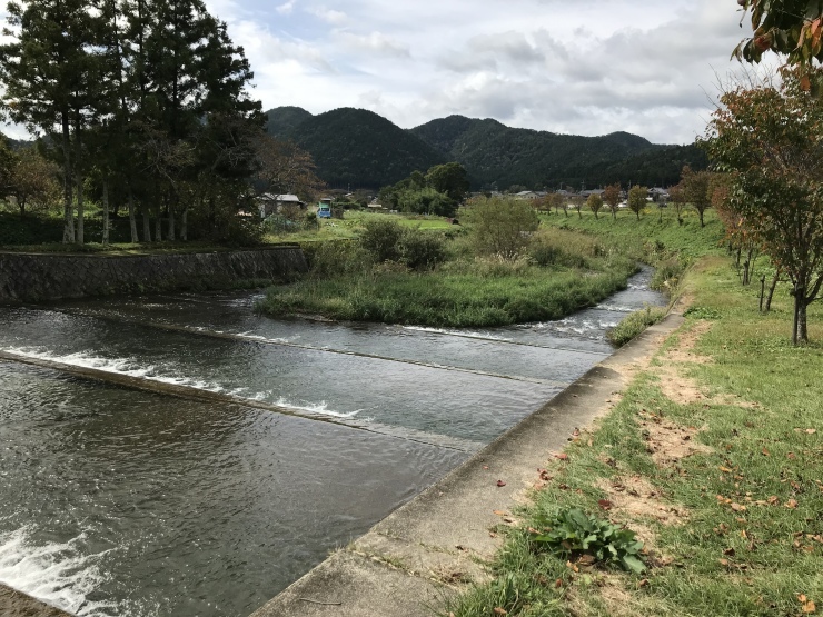 c0100195_19242564.jpeg