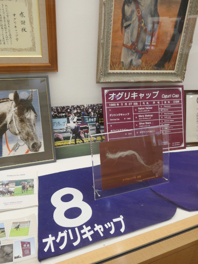 日高_b0055196_17392978.jpg