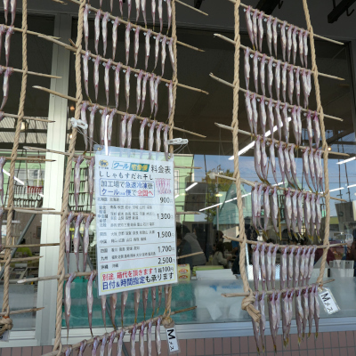 日高_b0055196_17401908.jpg