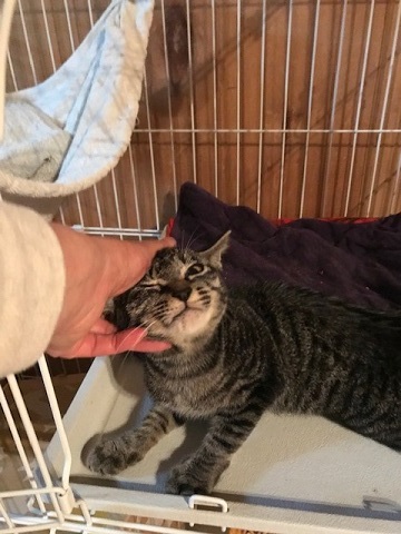 いっぽうでとろろちゃんのお見合いは・・_f0242002_14365386.jpg