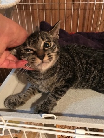 いっぽうでとろろちゃんのお見合いは・・_f0242002_14365880.jpg