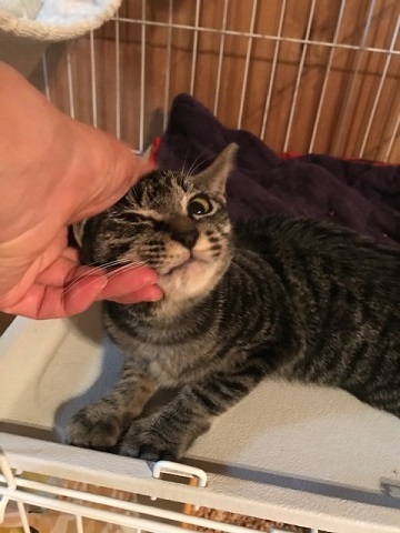 いっぽうでとろろちゃんのお見合いは・・_f0242002_14370153.jpg