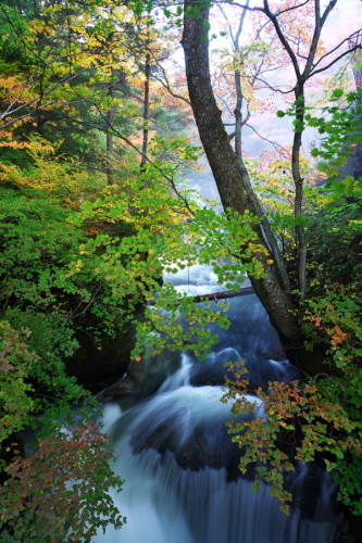 a0263109_18502993.jpg