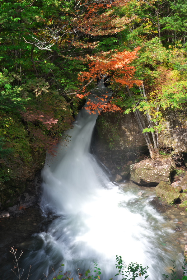 奥日光　龍頭滝の紅葉_a0263109_18505831.jpg