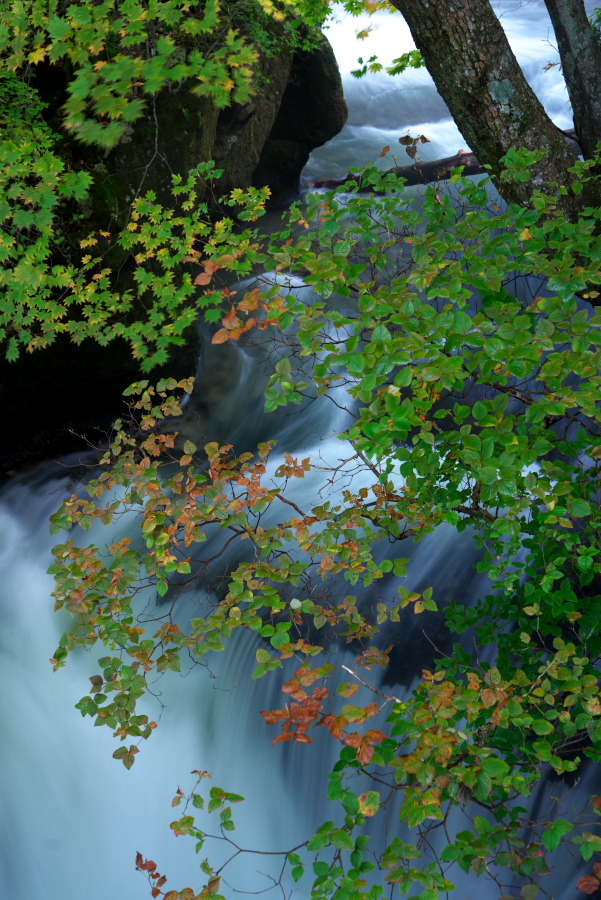 a0263109_18505931.jpg