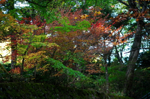 a0263109_18505995.jpg