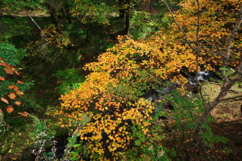 a0263109_18514208.jpg
