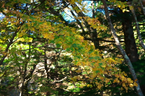 a0263109_19293293.jpg