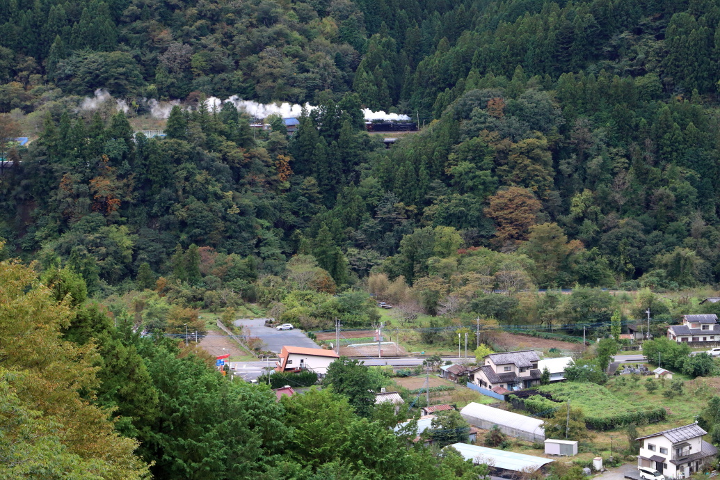 かすかに色づき始めた木々 - 2019年秋・秩父鉄道 -_b0190710_22094071.jpg
