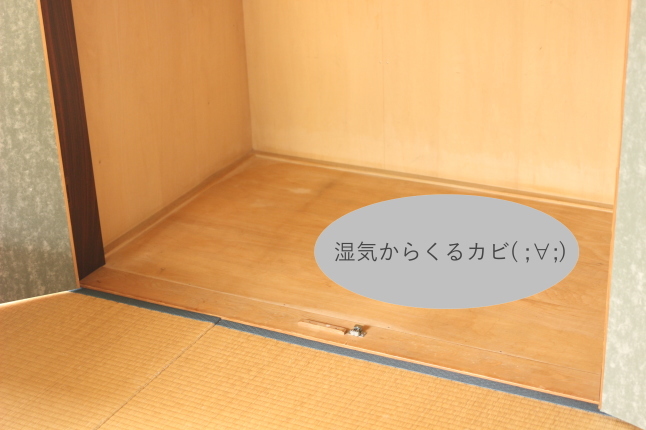 週末のお掃除 〜押入れを開けて、今までにない出来事にショック..._f0354014_09453711.jpg
