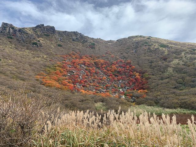 くじゅう連山の紅葉 2019_d0177220_13474718.jpg