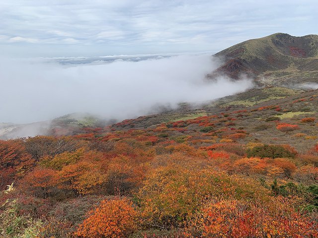 くじゅう連山の紅葉　2019_d0177220_14020067.jpg