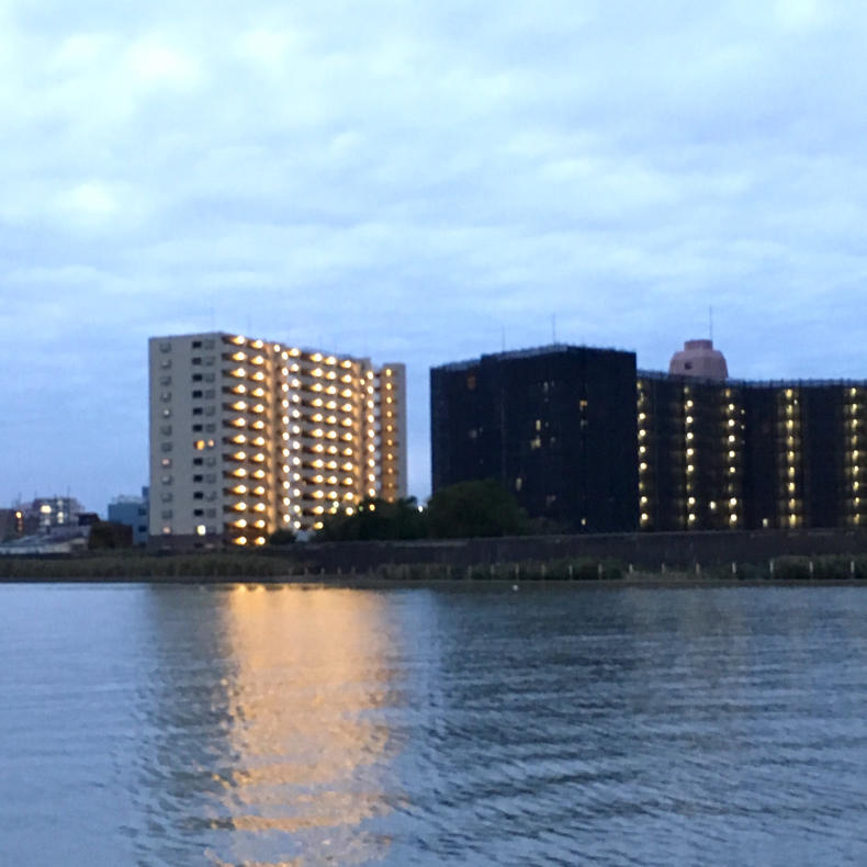 江川堀の暗渠の出口が気になったので_c0060143_10365891.jpg