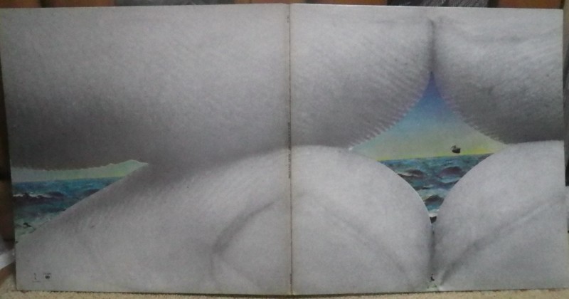 Bruce Cockburnその1 Salt Sun And Time 👌 : アナログレコード巡礼の旅