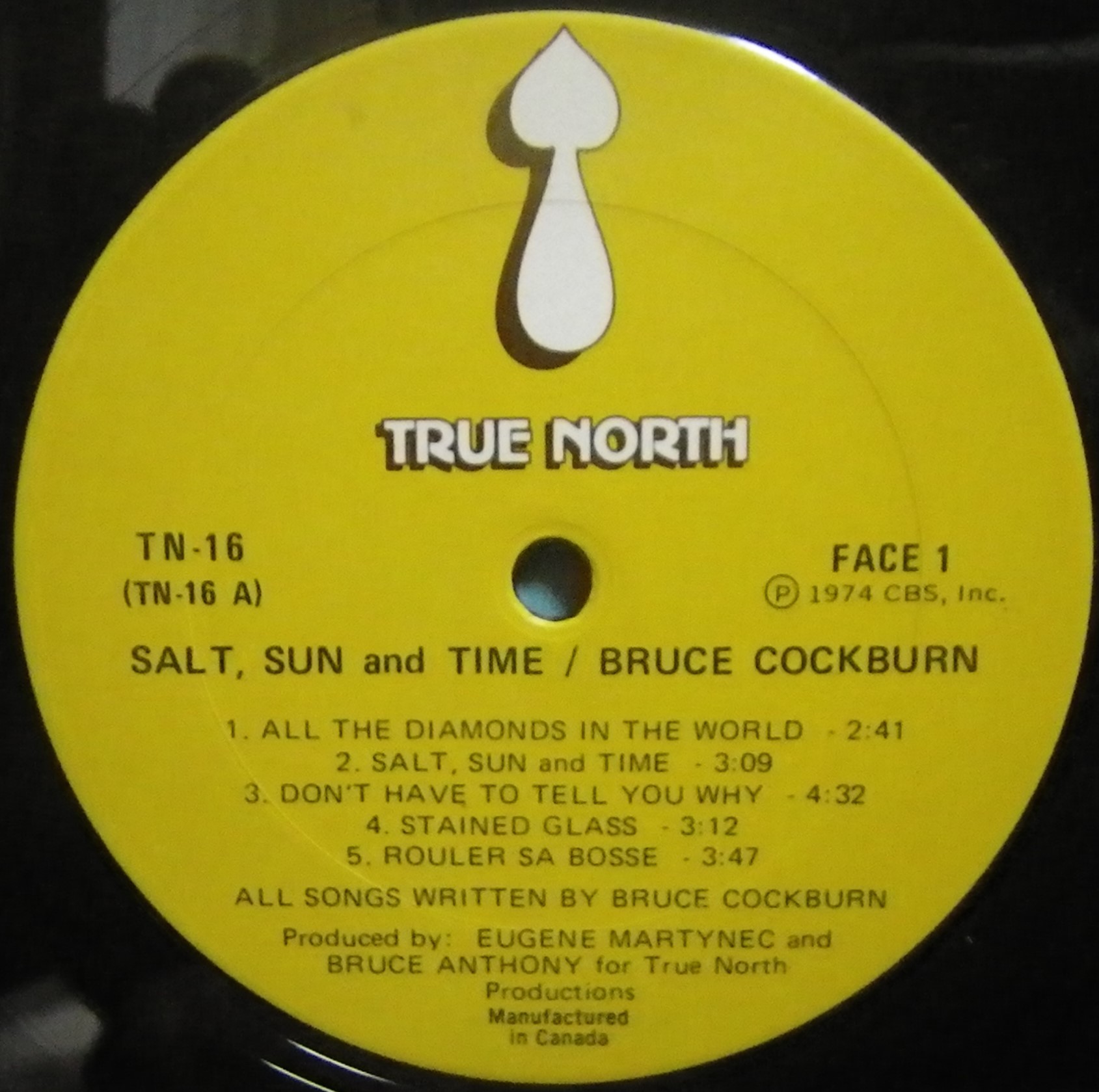Bruce Cockburnその1 Salt Sun And Time 👌 : アナログレコード