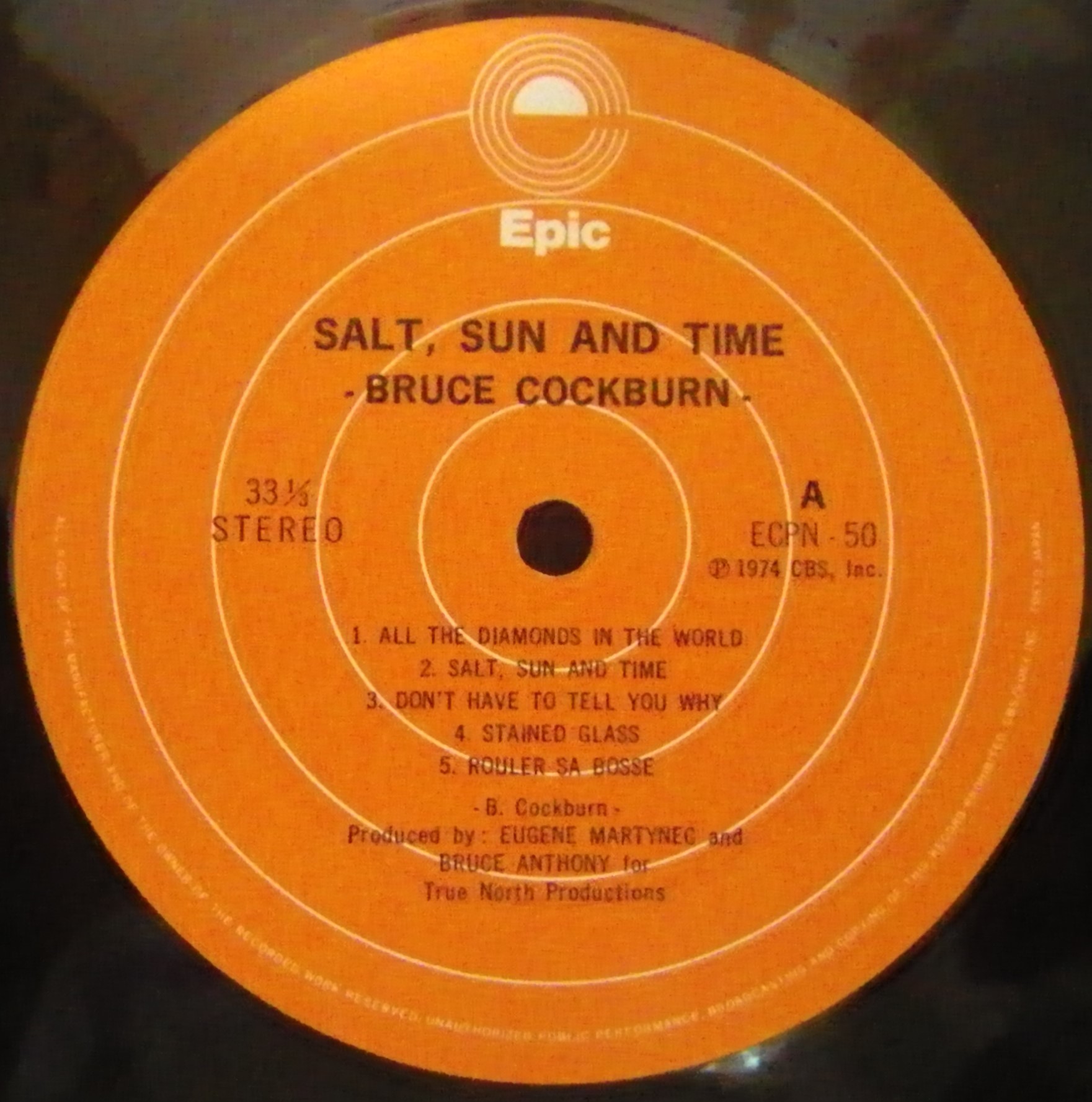 Bruce Cockburnその1 Salt Sun And Time 👌 : アナログレコード
