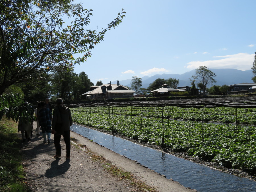 f0329849_22093200.jpg