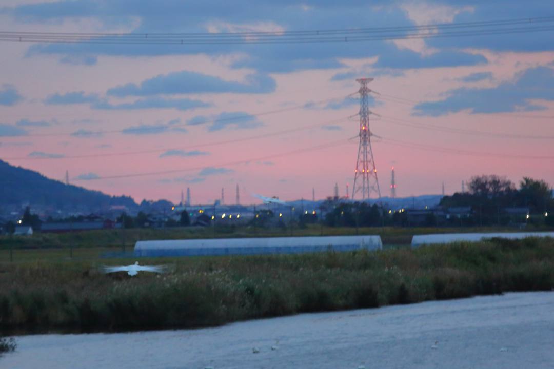 e0403850_21500006.jpg