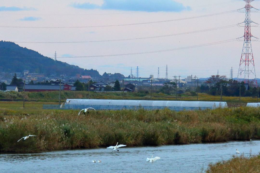 e0403850_21505303.jpg