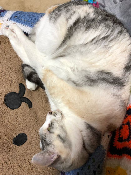 こーよう?_e0355177_22474214.jpg