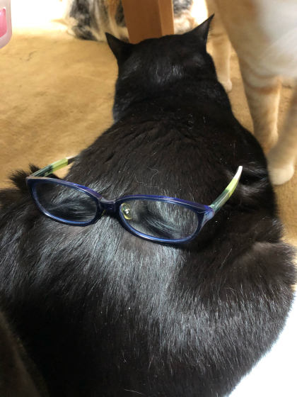 こーよう?_e0355177_22481629.jpg