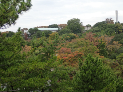 f0203094_14094077.jpg