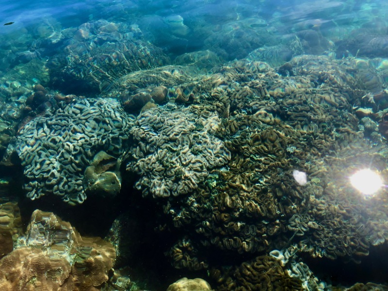 Palau_c0006305_17210592.jpeg