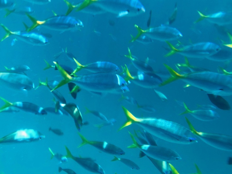 Palau_c0006305_17210757.jpeg