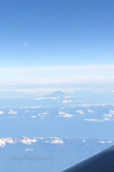 c0024729_14163257.jpg