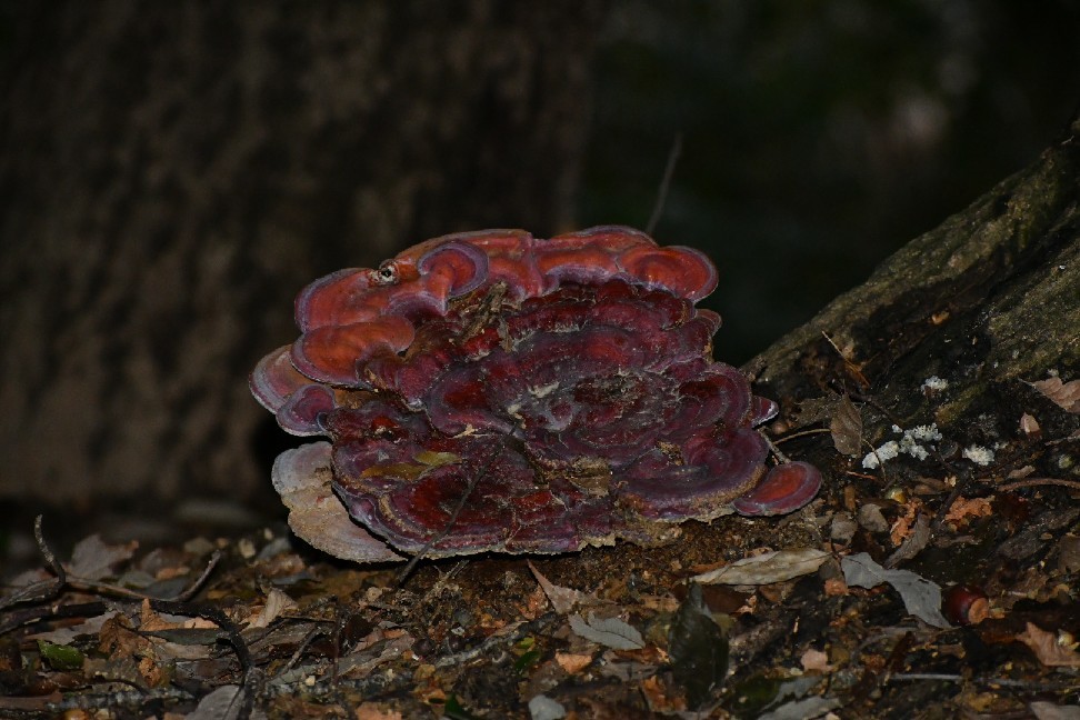 f0340732_18403349.jpg