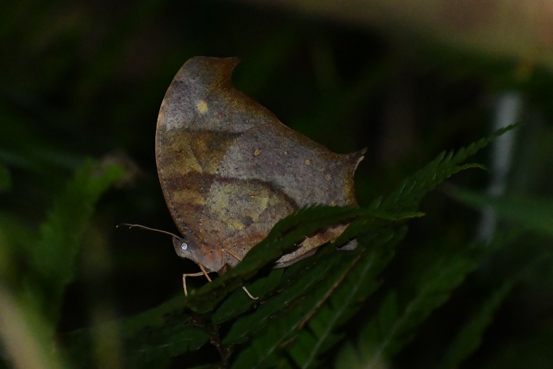 f0340732_18420649.jpg