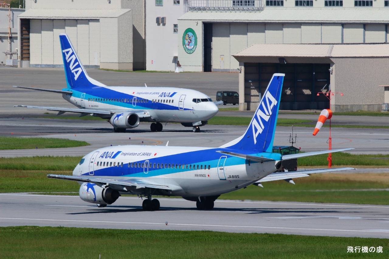 ドルフィン X ドルフィン B737 ANAウイングス (EH)_b0313338_01151393.jpg