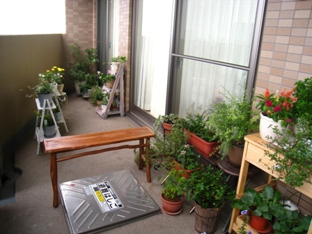 e0234741_15030768.jpg