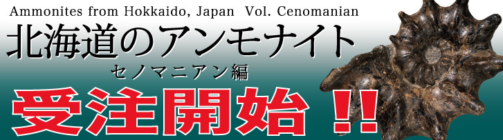 新図録セノマニアン編 申し込み期間 残り3日！ : INTO THE NATURE