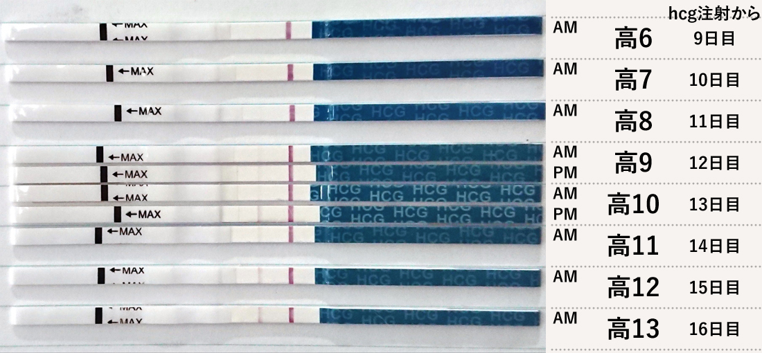 ラッキーテスト 高温期10日目 妊娠検査薬のフライングはいつから陽性が出る？画像あり！