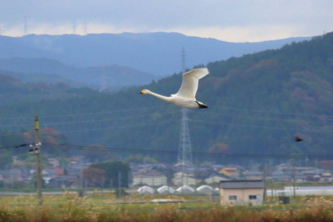 e0403850_14122268.jpg