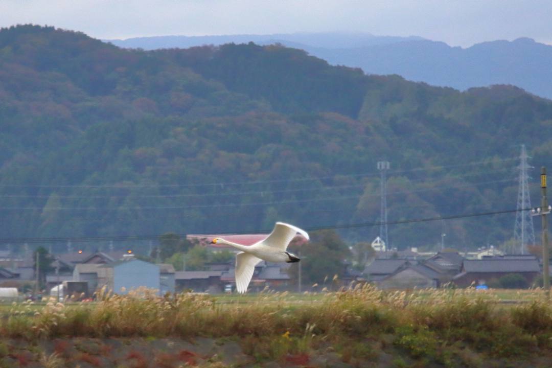 e0403850_14122276.jpg