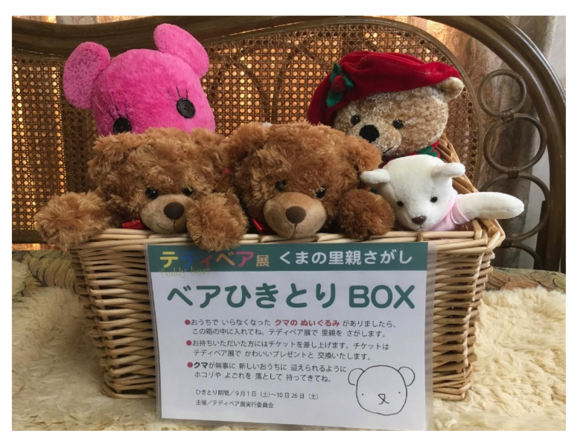 前橋で くまの里親さがし 群馬で生まれ育った男のブログ