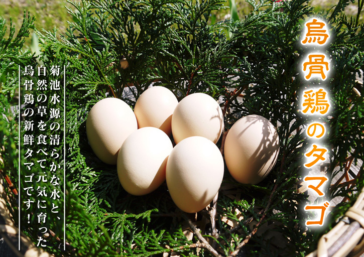 熊本県菊池水源で育った烏骨鶏の新鮮タマゴ!数量限定で販売中!ただし、やむなく値上げしました_a0254656_17343740.jpg