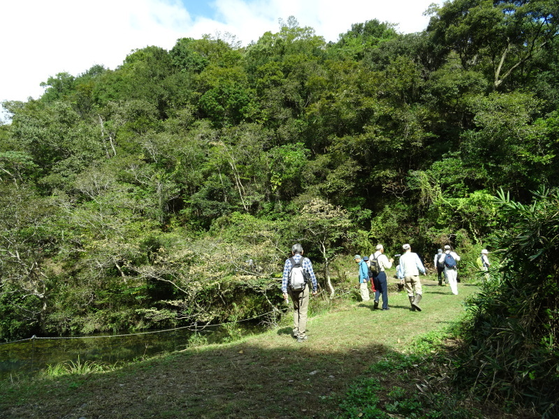 和泉市里山クラブ視察会・・・孝子の森_c0108460_17251514.jpg