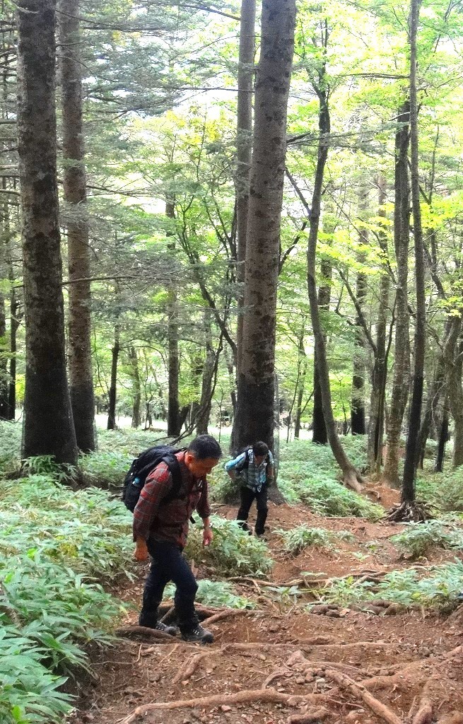 <2019年9月27~28日>「日光男体山」修行登山&日光・栃木観光(前編)_c0119160_07023712.jpg