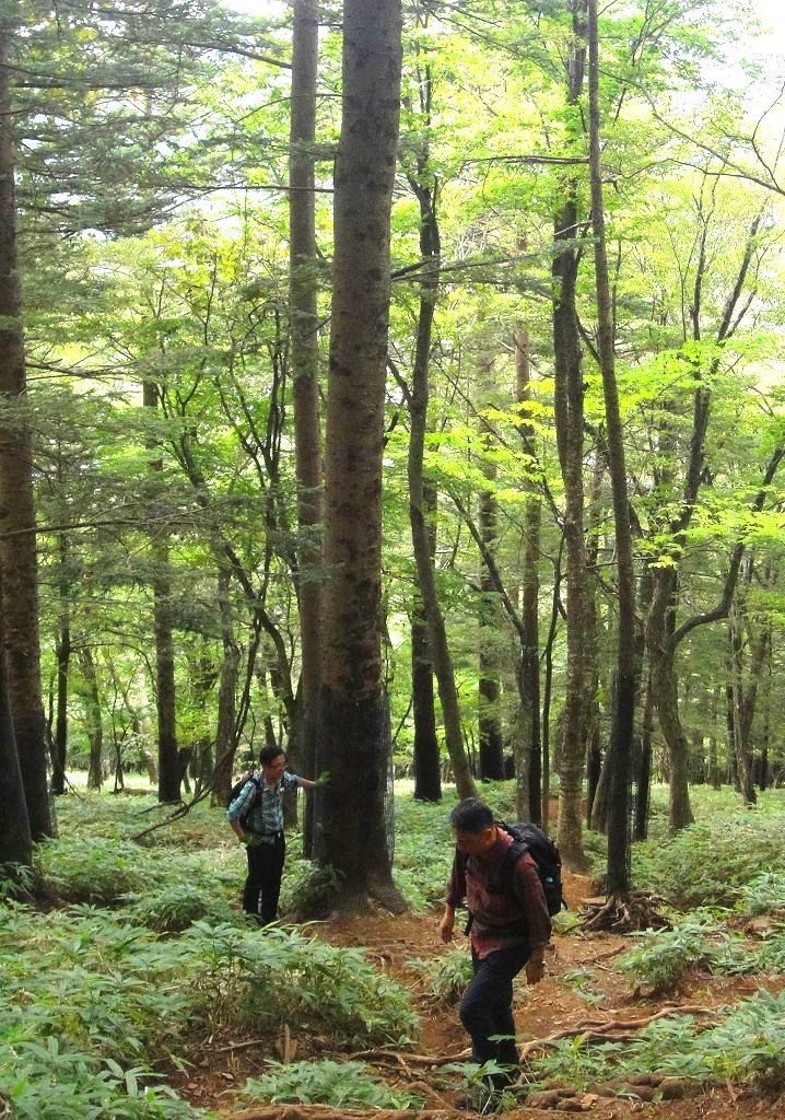 <2019年9月27~28日>「日光男体山」修行登山&日光・栃木観光(前編)_c0119160_07031148.jpg