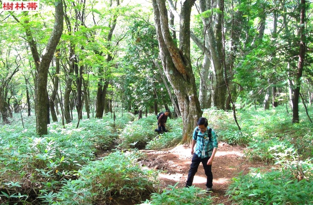 <2019年9月27~28日>「日光男体山」修行登山&日光・栃木観光(前編)_c0119160_07040405.jpg