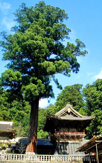 <2019年9月27~28日>「日光男体山」修行登山&日光・栃木観光(前編)_c0119160_15313021.jpg