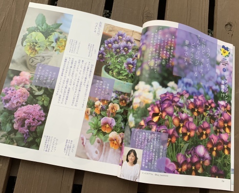 趣味の園芸テキスト11月号早速買いました&#128522;_b0137969_06572405.jpeg