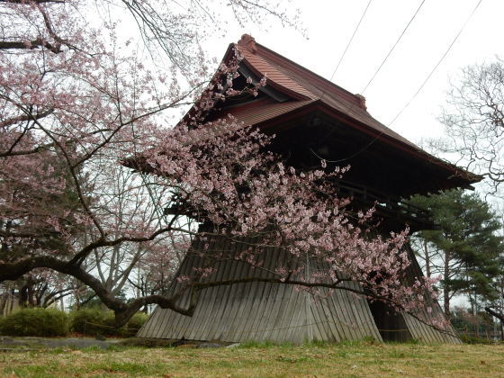 どーよう?_e0355177_17500575.jpg